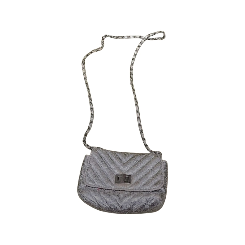 New Steve Madden crossbody purse, silver metallic, small,